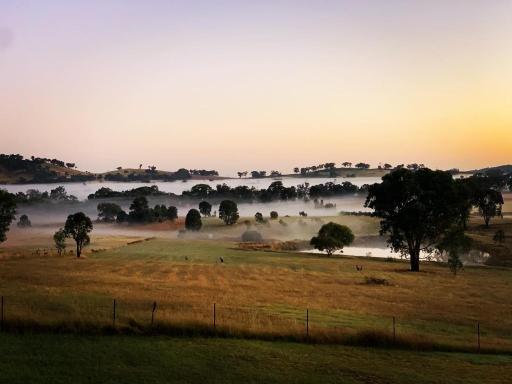 Grattai Grove Mudgee - Housity