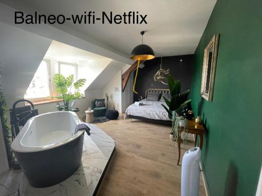 El Circo Gambetta,sublime suite balnéo hypercentre - Housity