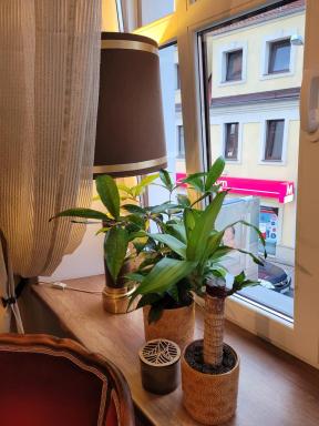 BoleslaviaApartments - Apartament Starówka - Housity