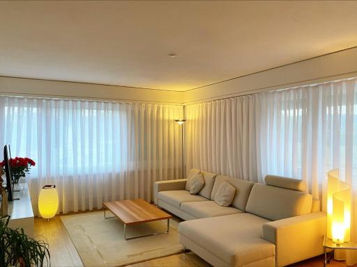 2 Bedroom Beautiful Apartment in Zürich - Housity