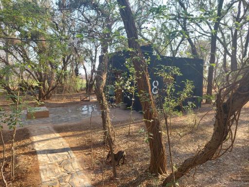 Vulture's View 8 - Housity