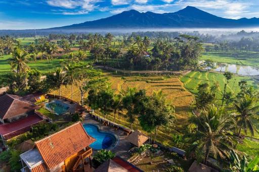 Peraja Bungalows Loyok - Housity