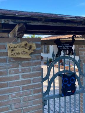 Casa vacanze fra gli ulivi - Housity