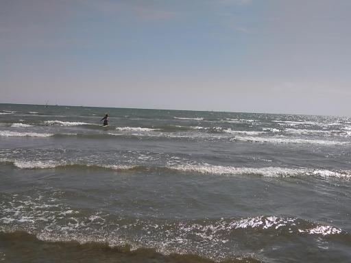 Maison au pied du parc national des Cévennes - Housity