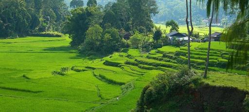 Lembang Sura Homestay - Housity