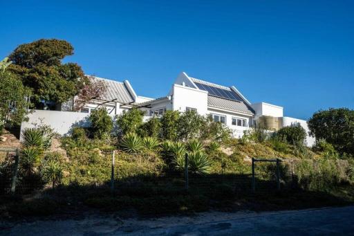 Amani Guesthouse. Cheerful home-away-from-home. - Housity