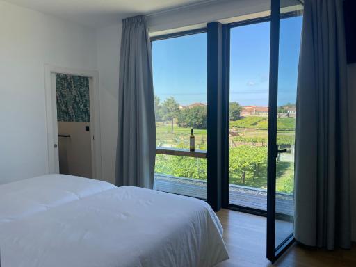 Habitación deluxe rodeada de viñedos - Housity