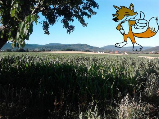 Apartment 1 Langelsheim Harz - Housity