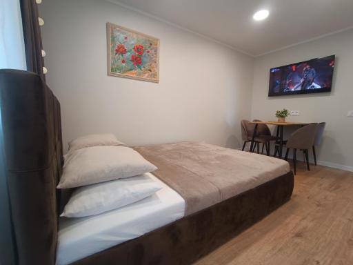 Dariaus ir Girėno 6 Apartments - Housity