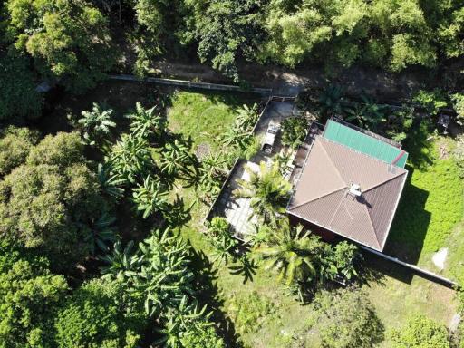 A Spacious and Serene Fully-Furnished Home - Housity