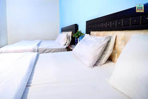 Royal INN Guest House - Housity