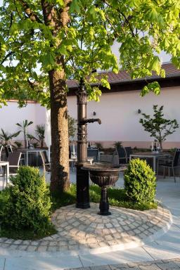 Gasthof Adler Äpfingen - Housity