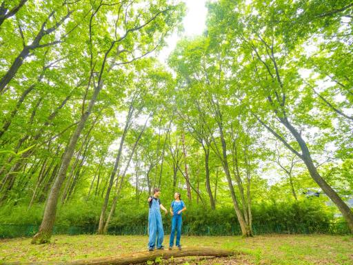 Nasu-gun - House - Vacation STAY 11769 - Housity
