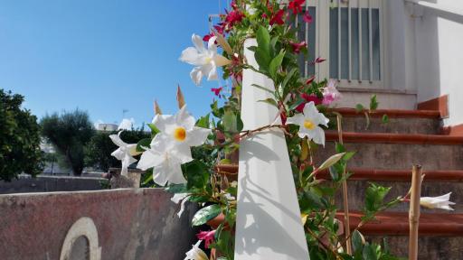 Casa Vacanza Anacapri Sunrise - Housity