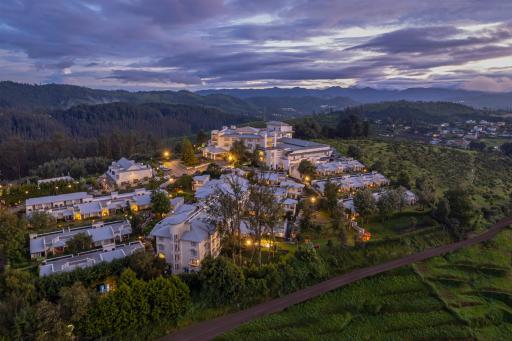 Sterling Ooty Fern Hill - Housity