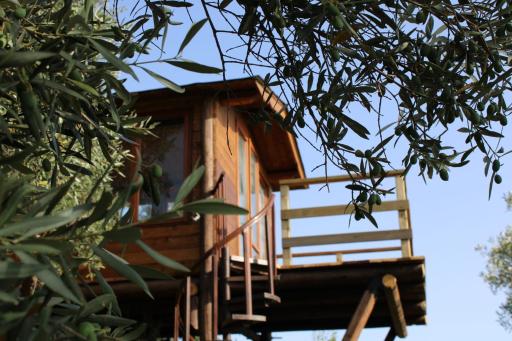 The Treehouse - Casa sull'albero al Golden Camp - Housity