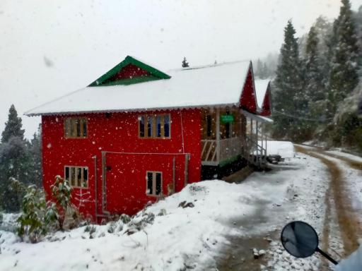 Pine Hill Homestay - Housity