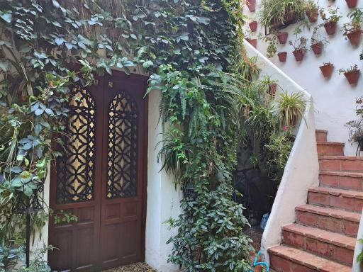 Apartamento Dama de Noche - Housity