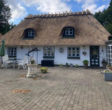 Skovlyset’s B&B - Housity