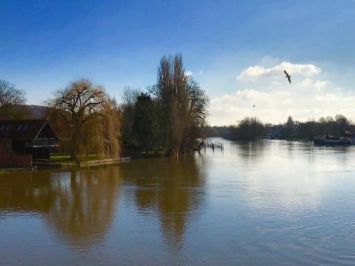 Luxury Boathouse Apartment - central Henley-on-Thames - Housity