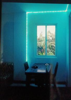 Palmera  1 - Housity