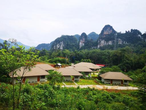 The Liveliwoods - Housity