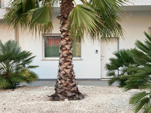 Bel panorama - Housity