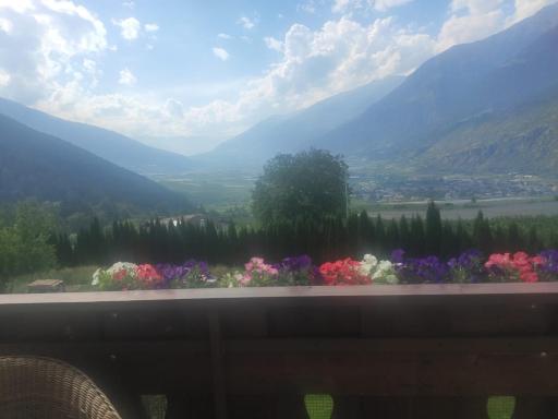 Stadlgut- Urlaub auf dem Bauernhof - Housity