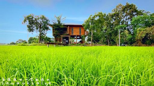 บ้านฉันสวรรคโลก - Housity