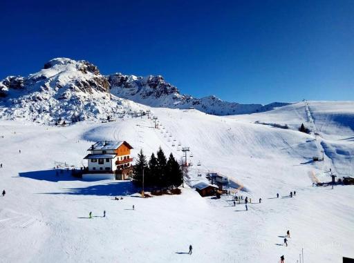 Cherry Tree House - Housity