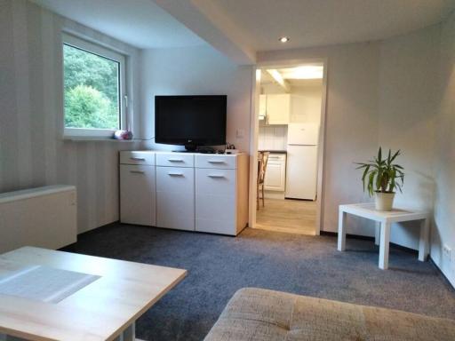 Wohnung im Grünen in Olsberg - Housity