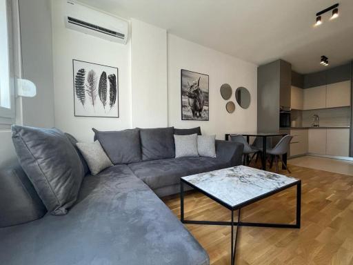 Bright & Stylish apt Ljubovic - Housity