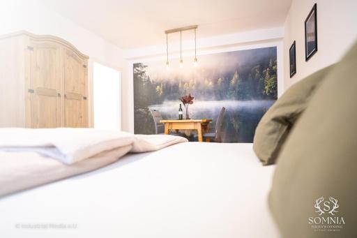 Ferienwohnung Somnia - Altstadt Gmunden - Housity