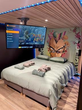 Capsule Manga - Jacuzzi - Billard - Nintendo Switch - Netflix - Housity