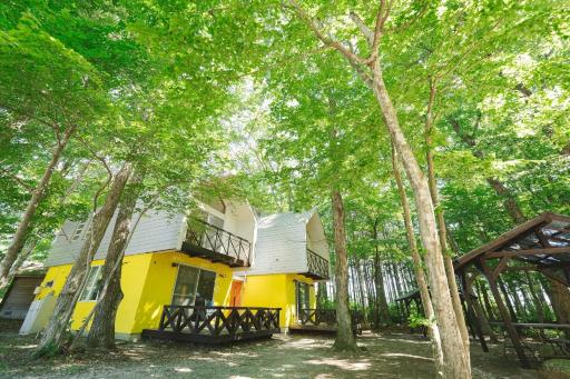 Yellow Base - Vacation STAY 49144v - Housity