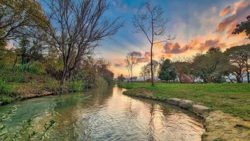 הפינה בנחל - Housity