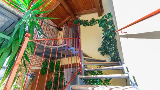 Sogni di Langa - Housity