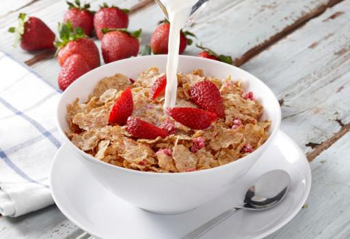 Shaurya Inn - Premium Boutique Hotel - Housity