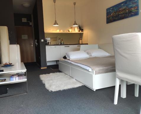 Studio apartment 