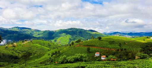 Ghar - Homestay, Where Family Lives Together - Housity