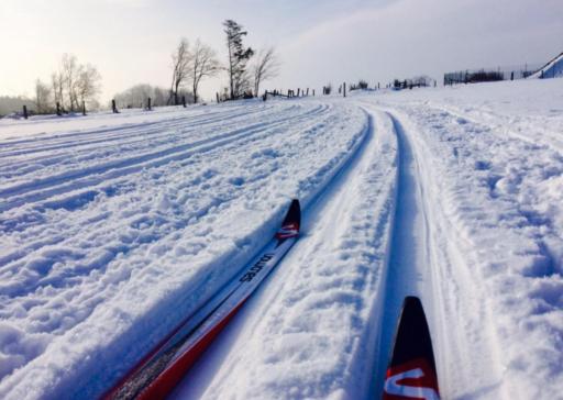 Alfie’s home - Housity