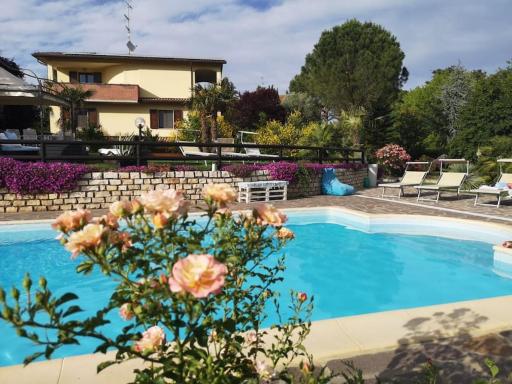 Adorabile tavernetta con piscina - Housity