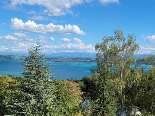 3-bedroom apartment with spectacular view - Housity