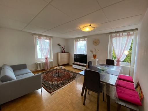 Exclusive 4.5 Zi Furnished Apartment @ Thalwil - Housity