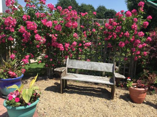 Disabled friendly BnB with gorgeous garden - Housity