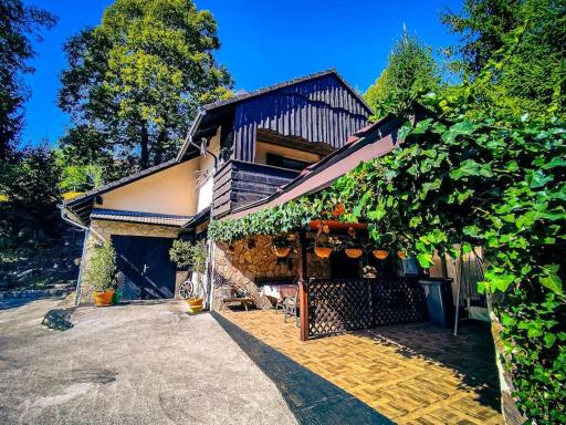 Vineyard cottage Marjanov gozdiček - Housity
