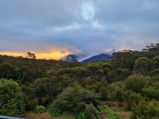 Magic in Medlow - Housity