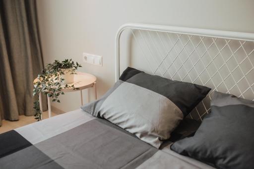 Rozenstein design residence - Housity