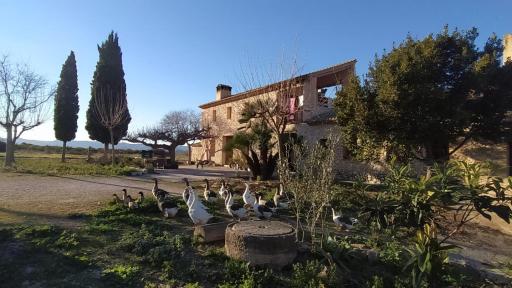 Casa Rural 20 Personas o más con Piscina y Barbacoa - Housity