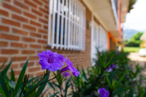 Casa las ruelias - Housity